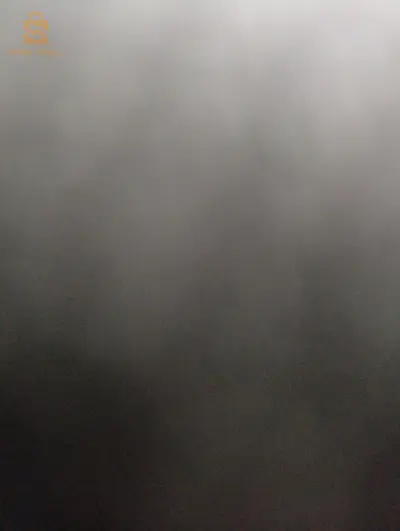850 نخلص كلش تاع عدل