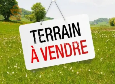 lot terrain