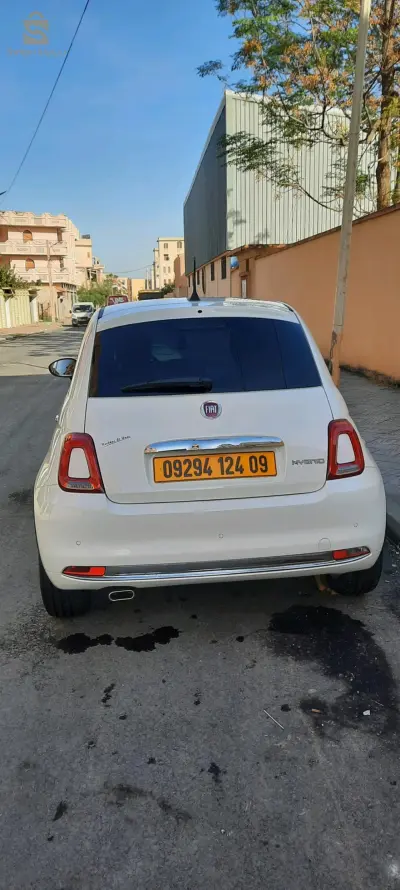 Fiat 500 2024 9 BLIDA