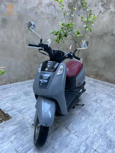 sym Tonik