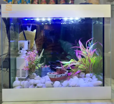 aquarium