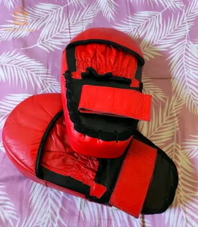 Pao Muay thai/kickboxing - Venom 

Excellente qualité ✅🇩🇿
Solide ✅
Professionnel ✅