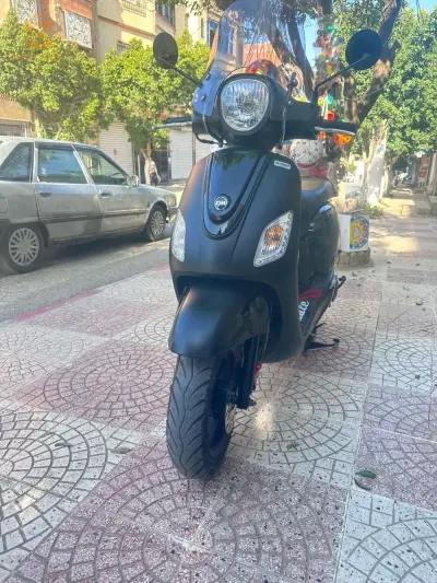 فيدال 3
