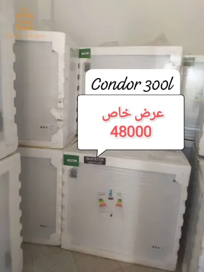 كوندور