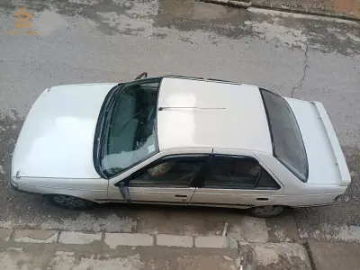 Peugeot 405 1989 19 SETIF