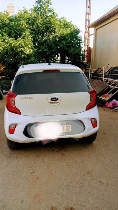 كيا Picanto 2019 2 شلف