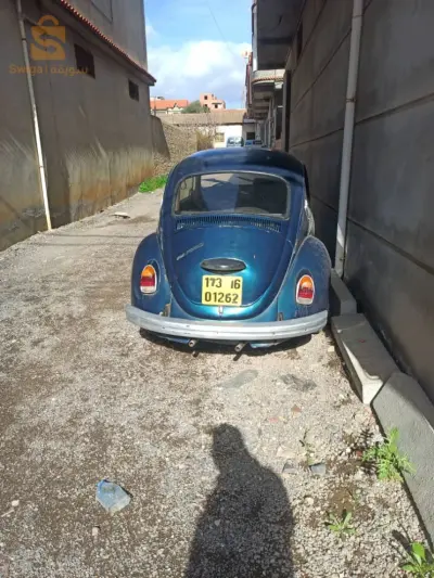 فولكس واجن Beetle 1972 16 الجزائر