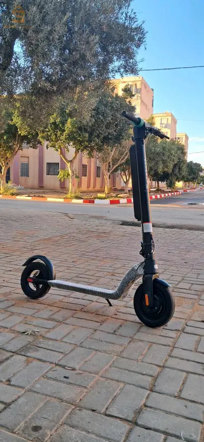 scooter 