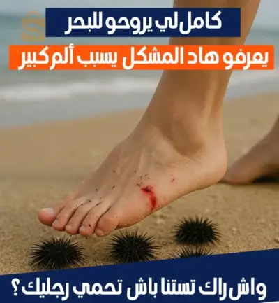 اخرى 