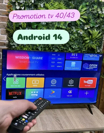 Téléviseurs, satellites et leurs accessoires 