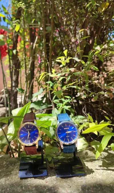 Montres 