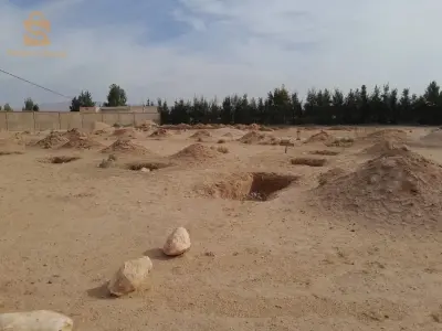 للبيع عقارات اخرى عدد الغرف 12 تبسة