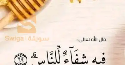 الصحة الغذائية 