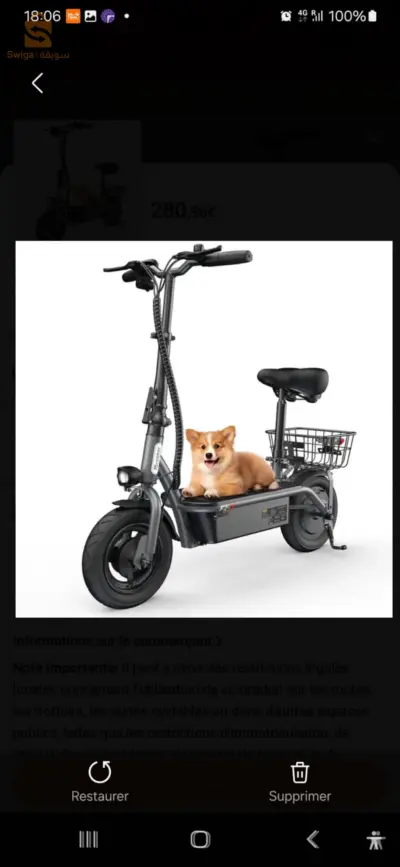 scooter 