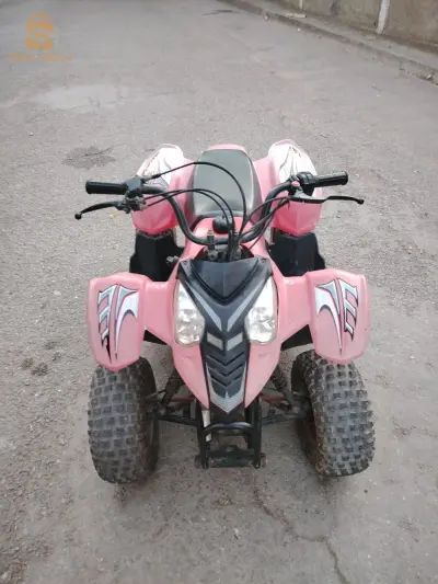 Arctic Cat 