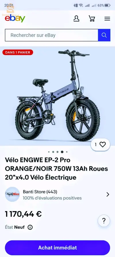vélos électriques 