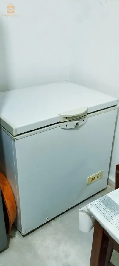 الثلاجات والمجمدات 