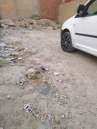 للبيع عقارات اخرى عدد الغرف 34 برج بوعريريج