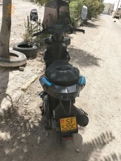 فيسبا 