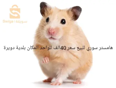 حيوانات اخرى ماعدا الطيور 