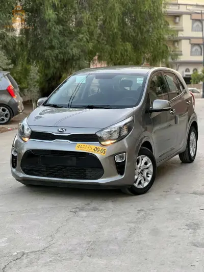 كيا Picanto 2019 13 تلمسان