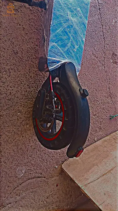 سكوتر 