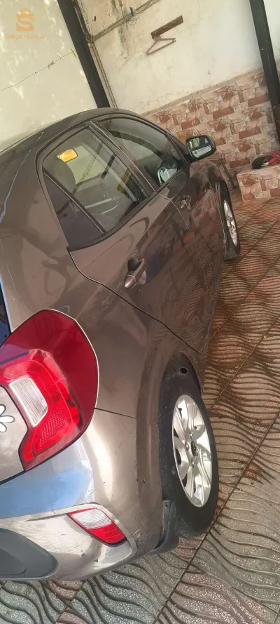 كيا Picanto 2019 16 الجزائر