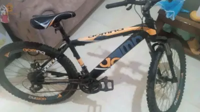 Electric bicycles 