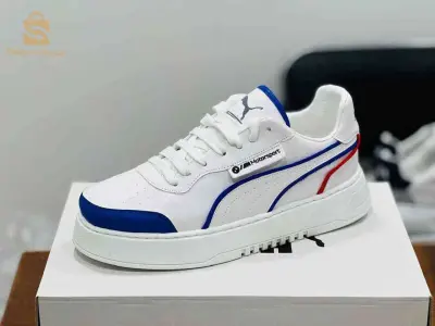 Chaussure 