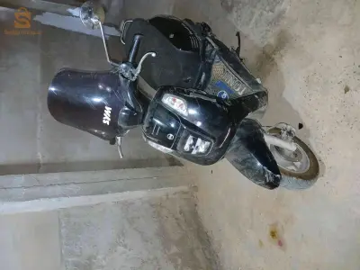 فيسبا 