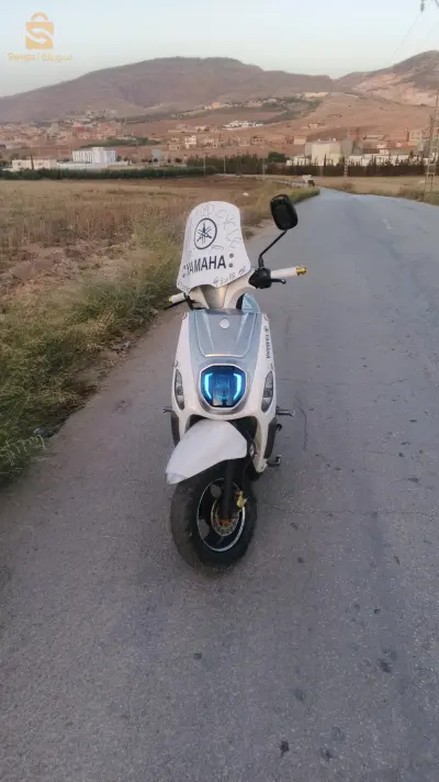 VMS 