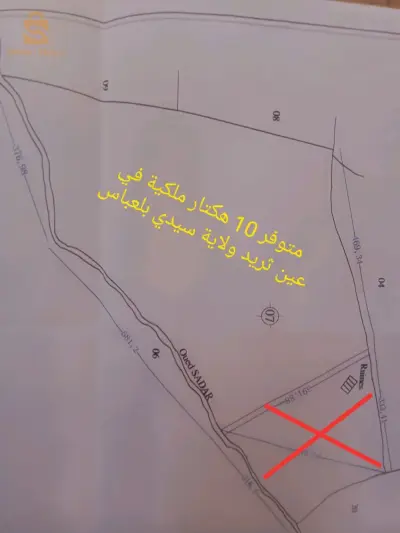 للبيع عقارات اخرى عدد الغرف10000 22 سيدي بلعباس