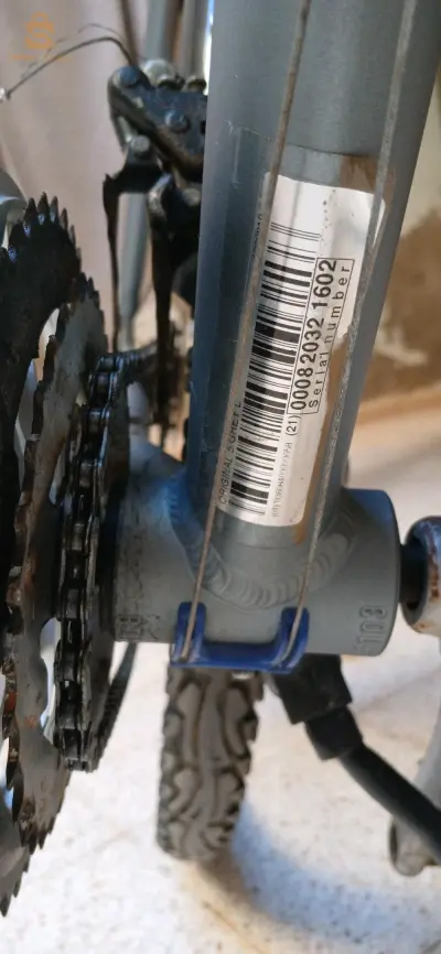 bicycles 