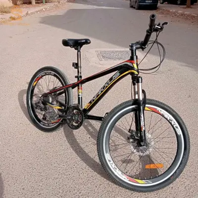 bicyclettes 