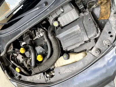 رينو Clio 3 2006 19 سطيف