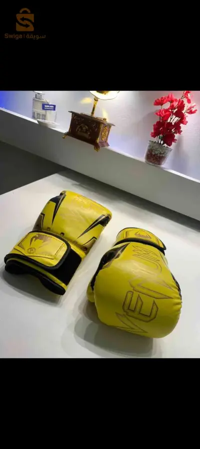 الرياضة 