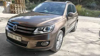 فولكس واجن Tiguan 2012 18 جيجل