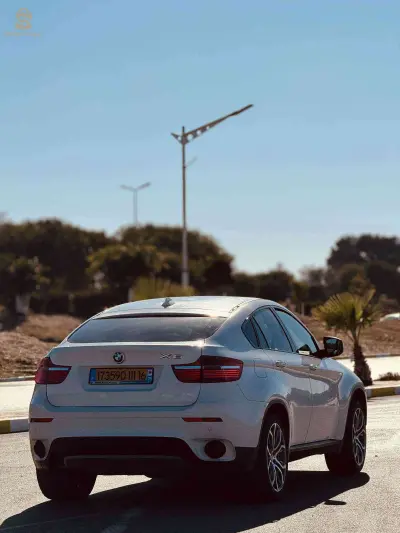 BMW Series X 2011 16 ALGER