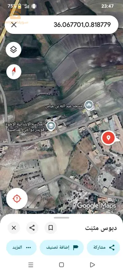للبيع اراضي سكنية عدد الغرف 48 غليزان