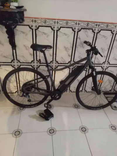 vélos électriques 