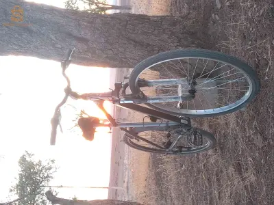 bicyclettes 