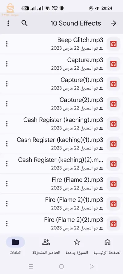 منتوجات رقمية