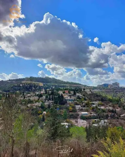 تحارة