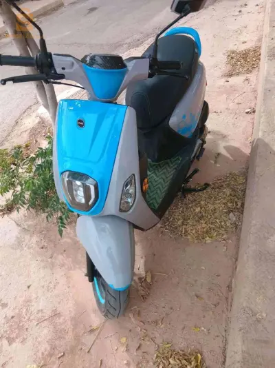 فياماس