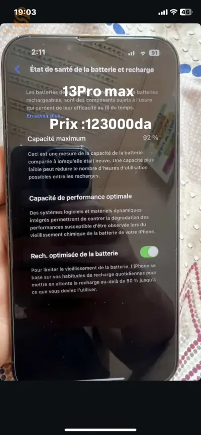 13pro max
