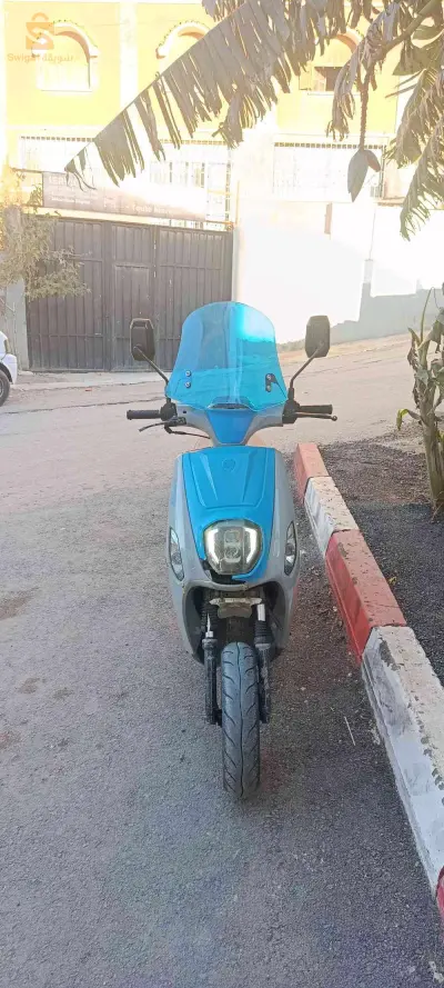 Estate x 2020