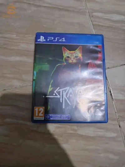 stray