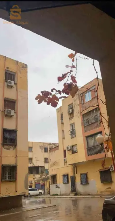 للبيع شقق سكنية عدد الغرف3 44 عين الدفلى