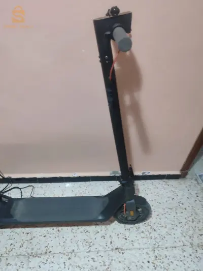 توريتينات