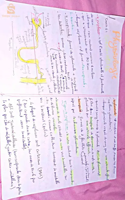 cours de physiologie unité 3 (2éme année médecine )